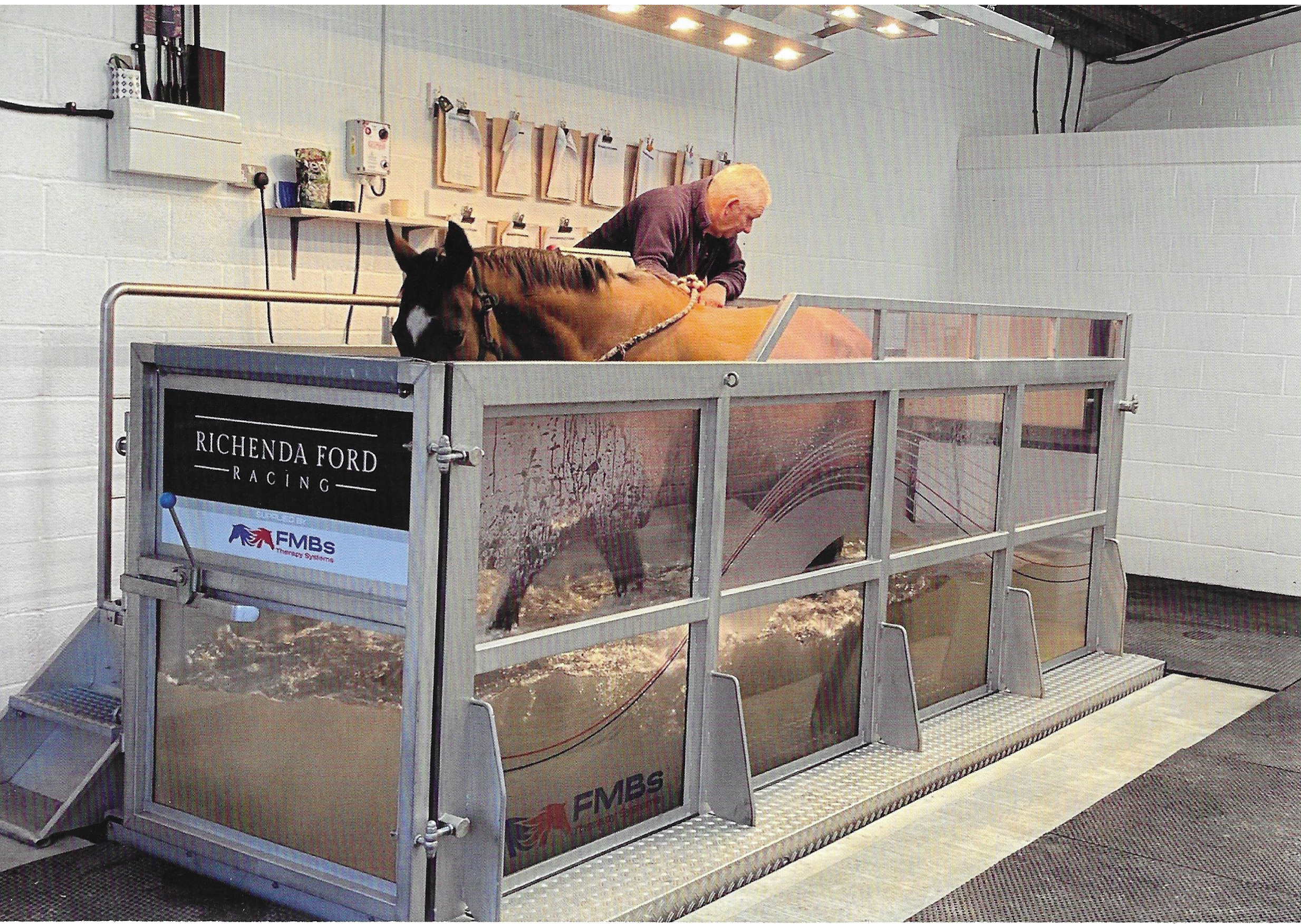 Dorset Equine Water Treadmill